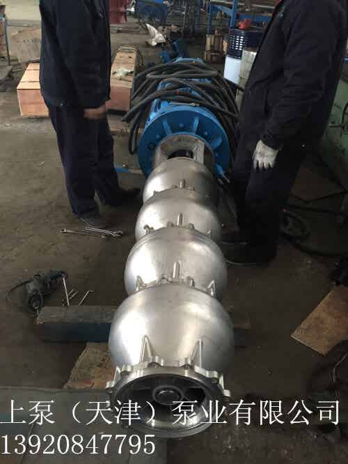 景區供水專用大流量潛水電泵