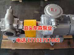 輸送易燃易爆介質防爆油泵廠家直銷齒輪油泵 KCB483銅輪油泵