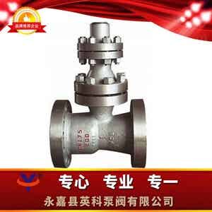 175H48Y(H)-200空排止回閥