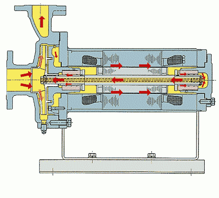 B型基本型屏蔽泵動畫